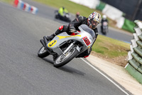 Vintage-motorcycle-club;eventdigitalimages;mallory-park;mallory-park-trackday-photographs;no-limits-trackdays;peter-wileman-photography;trackday-digital-images;trackday-photos;vmcc-festival-1000-bikes-photographs